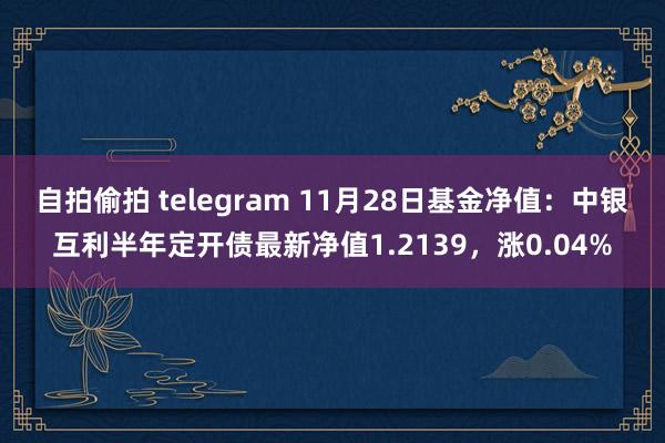 自拍偷拍 telegram 11月28日基金净值：中银互利半年定开债最新净值1.2139，涨0.04%